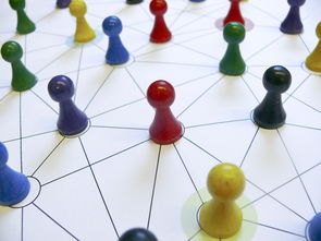 九游9游-中国篮球教练员领导力培养路径，中国篮球协会篮球教练员等级