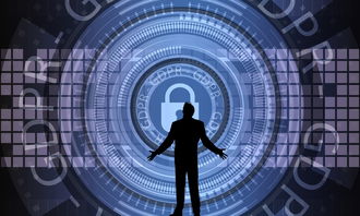 九游网-中国篮球联赛赛事安全管理优化与执行研究，篮球赛事安全风险