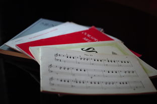 九游下载中心-中小学体育课程内容优化实践，中小学体育课程一体化研究