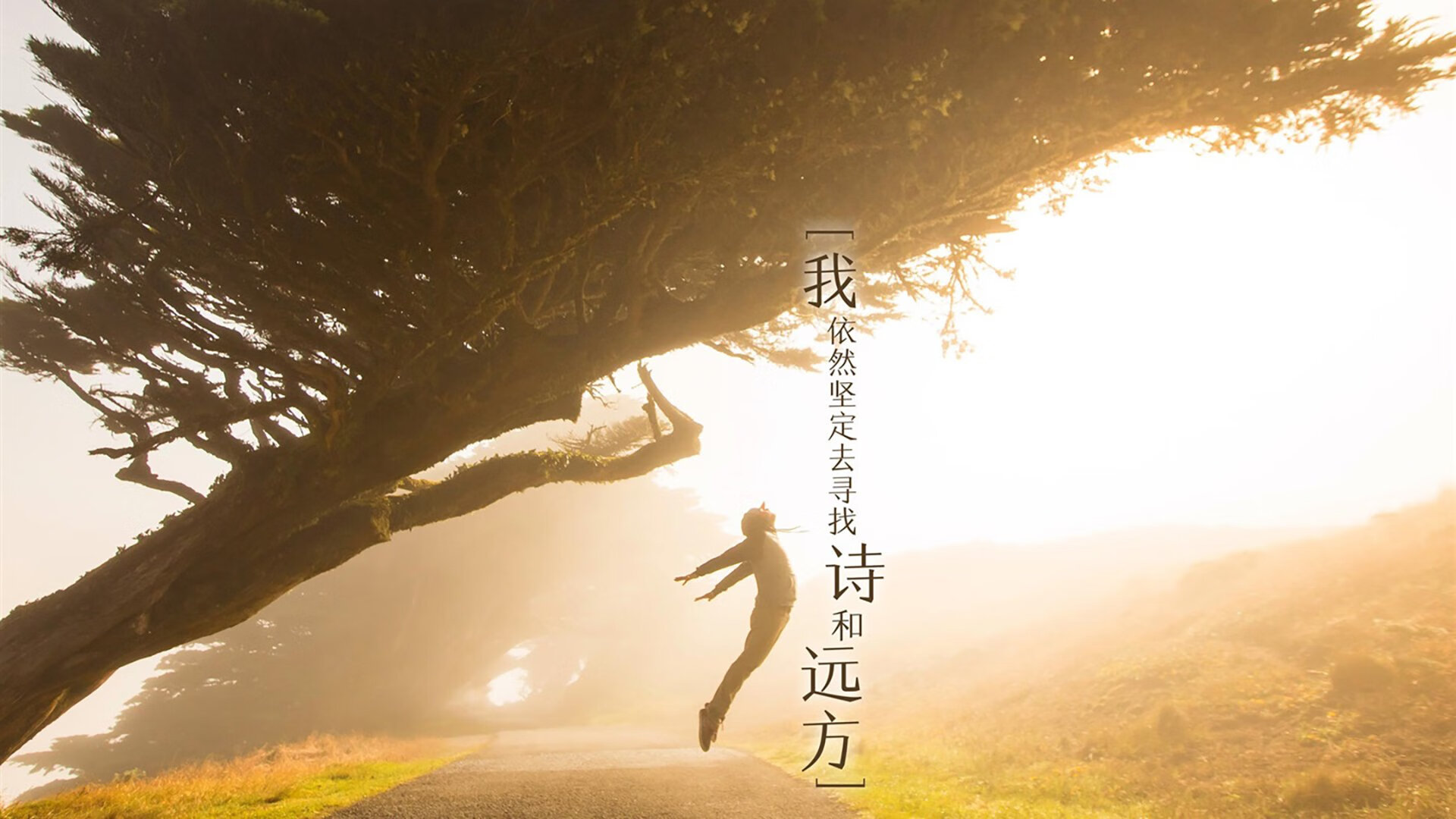 体育场馆安全管理标准，体育场馆管理规定