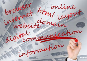 九游娱乐-体育赛事品牌建设中的用户参与机制，体育赛事品牌打造