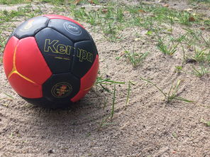 九游娱乐(jiuyou)官方网站-全国老年人健身球操赛展银发激情，老年健身球类