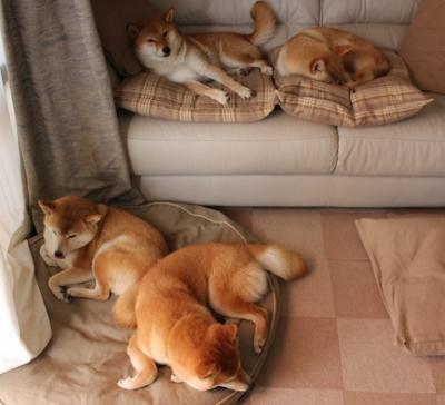 国足比赛节奏切换时间分布，足球比赛国足