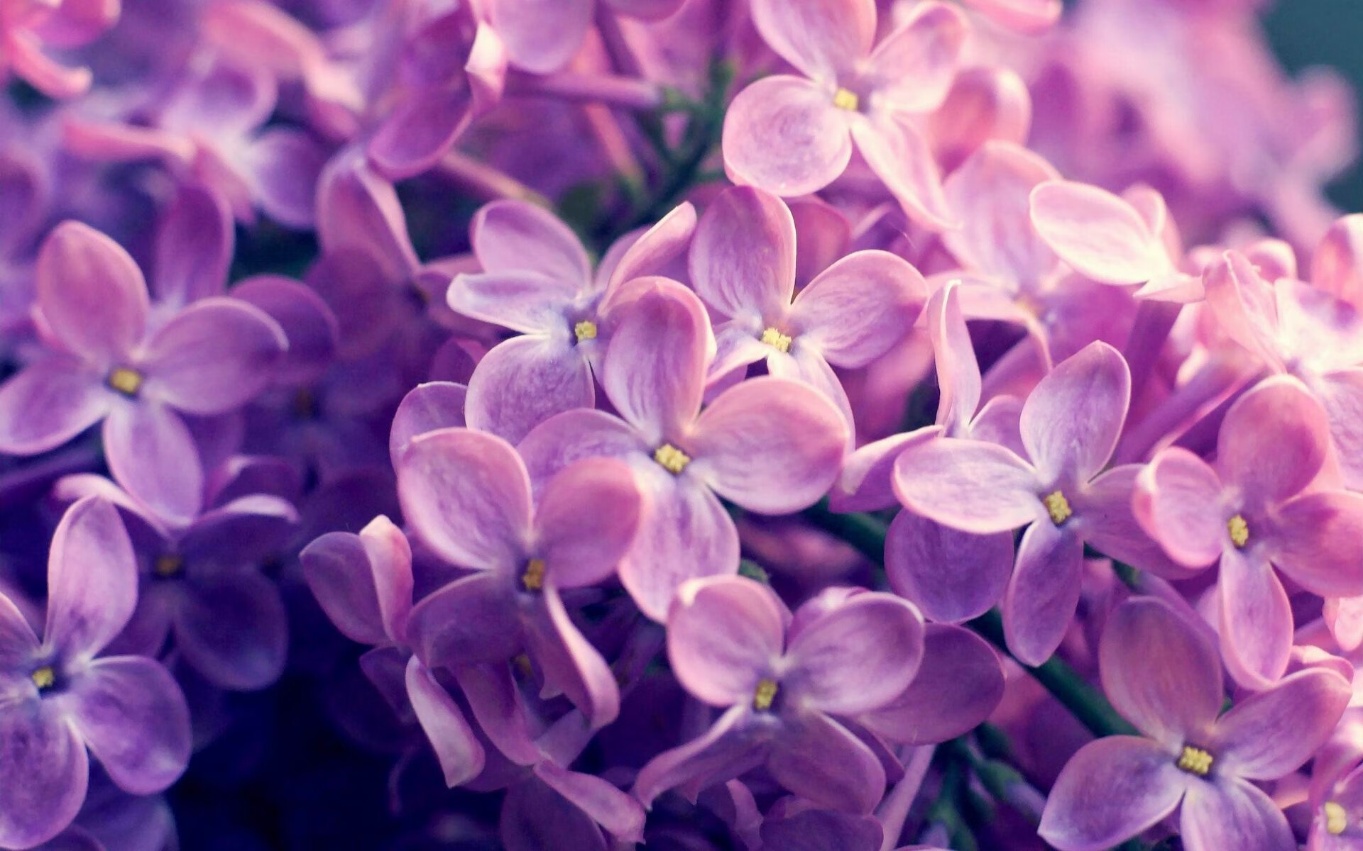 九游手机游戏-德甲球队在高强度对抗下体能衰减与技术失误关系研究，德甲身体对抗强吗